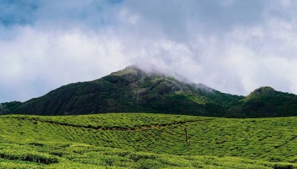 全域智慧平台的三大价值体系