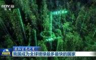 感知生态之变丨我国成为全球增绿最多最快的国家