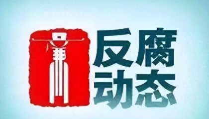 林玉棠、王海宁、牟丰京、刘辉、管满宇被查,周家斌被“双开”