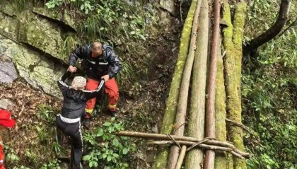 6名“驴友”在庐山探险走失，被追缴2万元救援费，组织者被追缴4000元