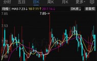 停牌！600624，将被ST