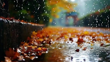 冷!冷!冷!北京这场秋雨啥时候停?
