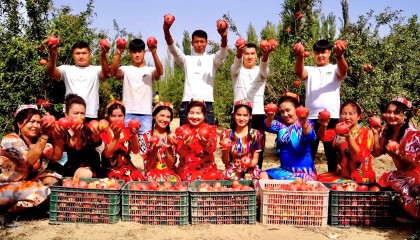 总书记关心的事丨种下“石榴籽” 开出“团结花”