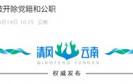 云南1名干部被开除党籍和公职