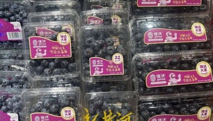 每斤40元至80元，济南市场上，这一水果价格下跌