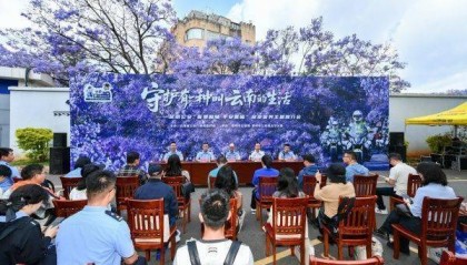 昆明警方:今年蓝花楹开放以来 教场路核心赏花区刑事警情零接报