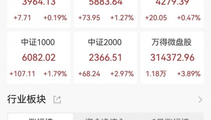 95后小伙炒股一个月赚112万！自己存款50万，加上岳母资助100万，岳母技术支持