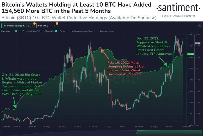 随着投资者不断积累，BTC重现 2015-2017 年牛市