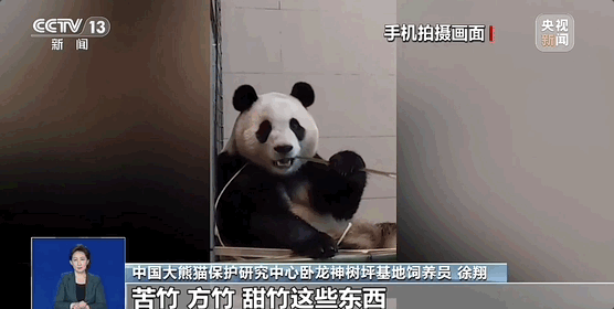 爆火！“顶流”将复出，多平台已无法购票