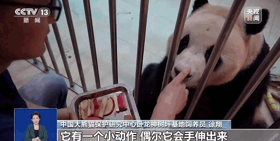 爆火！“顶流”将复出，多平台已无法购票