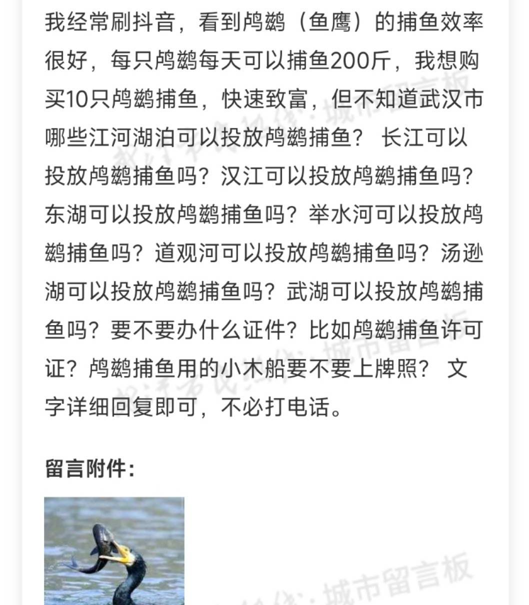 市民欲买10只鸬鹚在长江捕鱼致富，水务局：它是禁用渔具，在禁渔区使用最高可判三年