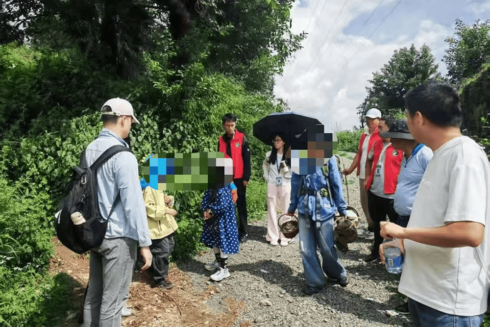 云南大理：已劝返入山采菌及徒步820人