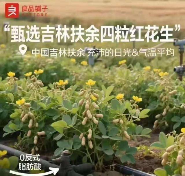 “花生上树”宣传图系AI生成？良品铺子致歉：已对相关页面修正