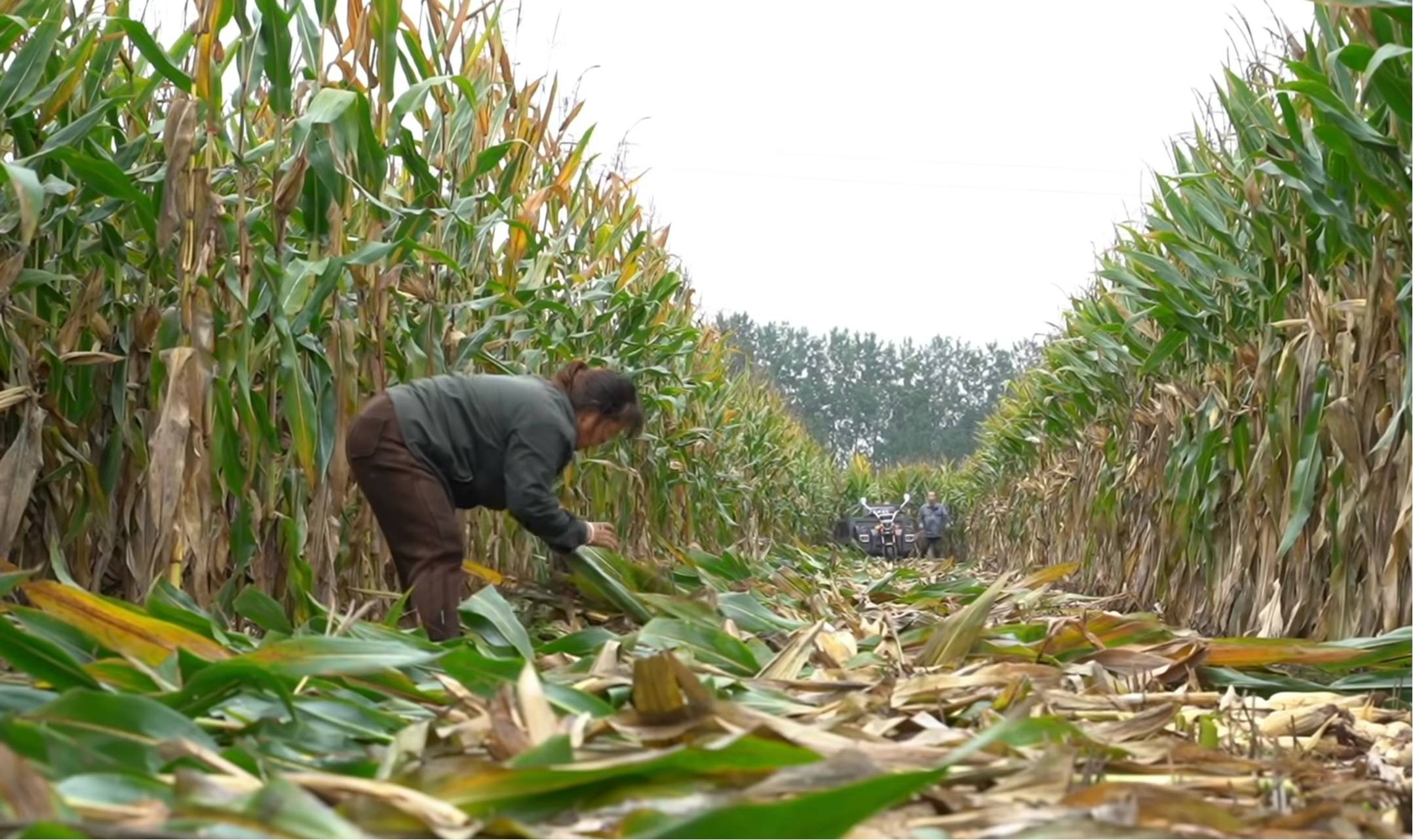 村镇导演追三个超强台风 拍下被遗忘的农民