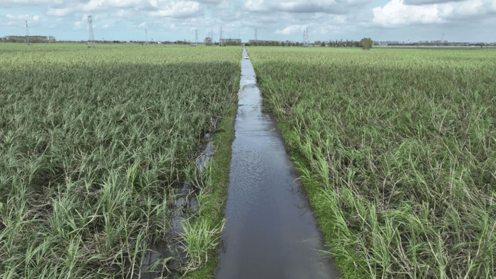 村镇导演追三个超强台风 拍下被遗忘的农民