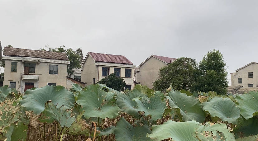 智障老人被撞身亡 葬礼被直播千人送行