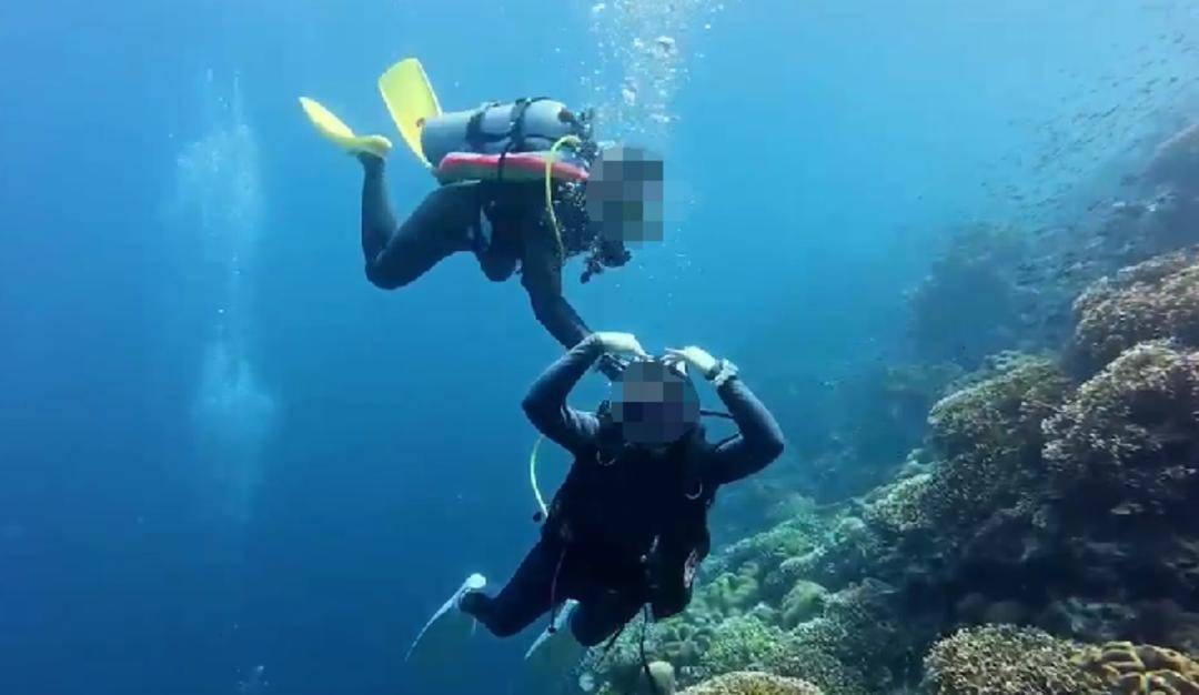紫牛热点｜网传一潜水员水下关闭他人气瓶？国际专业潜水教练协会回应：正配合有关部门调查核实